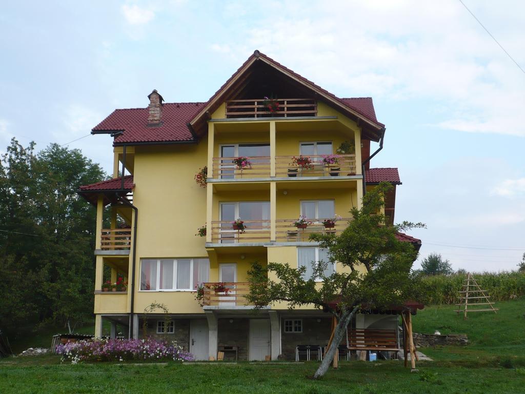 Hotel Pensiunea Tiuta Corbeni Exterior foto